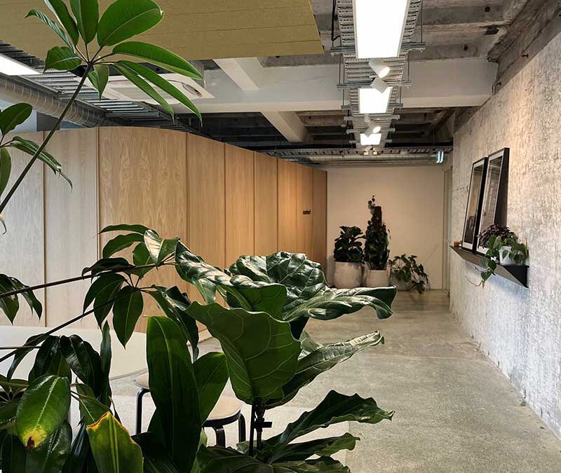 Part 5: After the Move: How to Make Your New Workplace Keep Paying Off